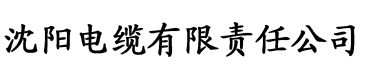 黄污视频应用网站电缆厂logo